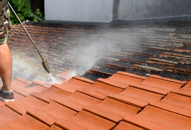 Best Power Washing Near Me  in Blanco, TX